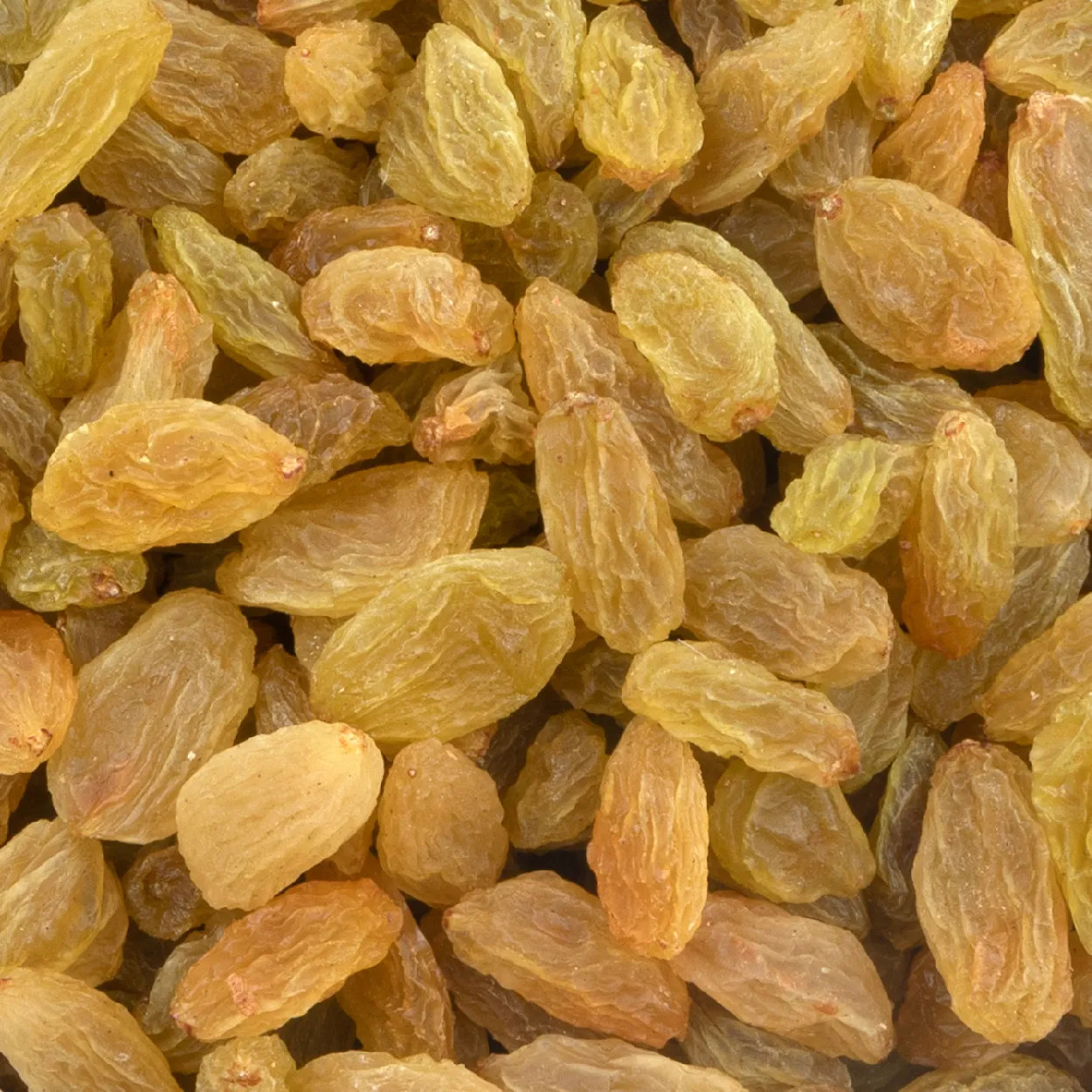 Trusted Raisins Manufacturer & Exporter from Sangli, India